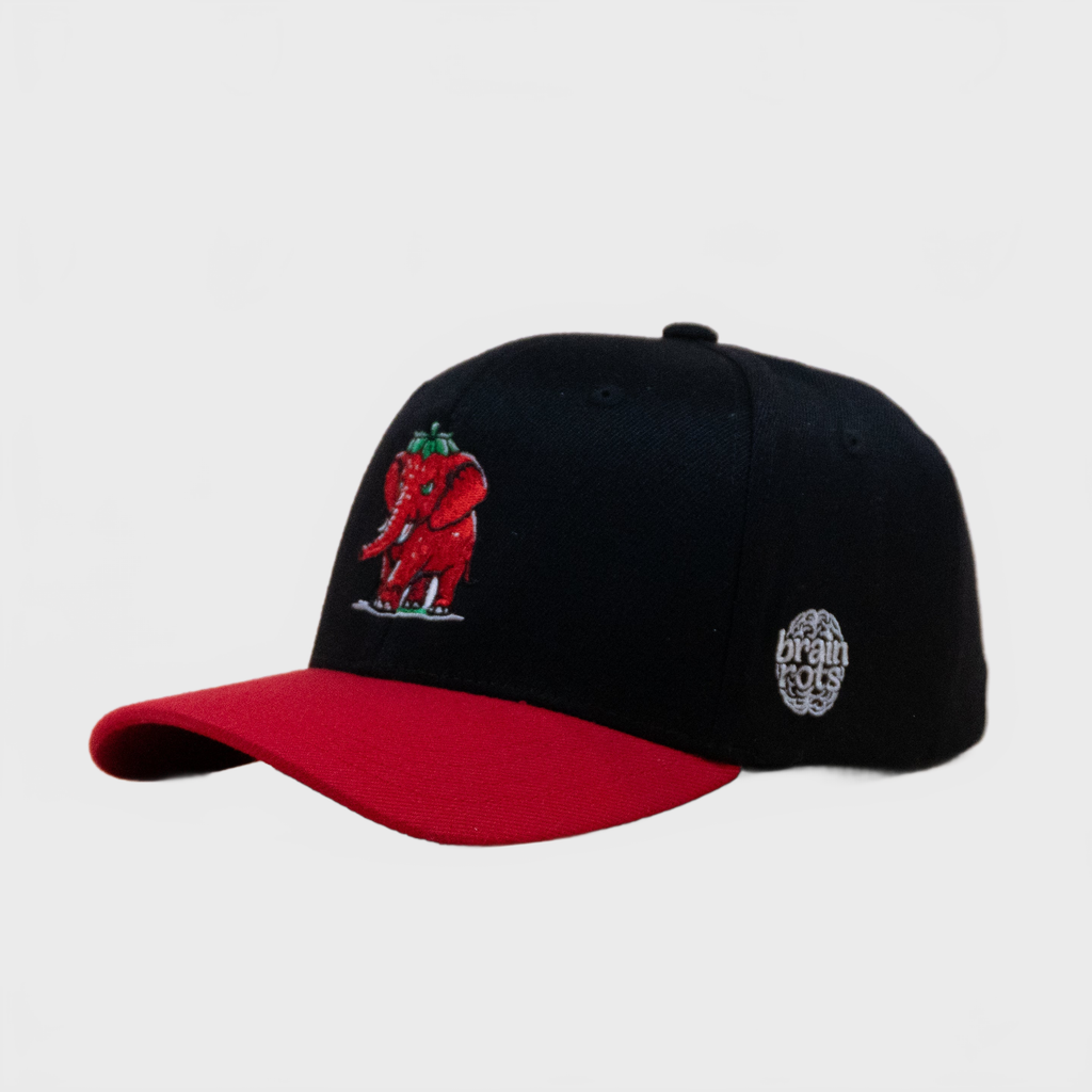 Brainrot Strawberry JR Cap Red Black