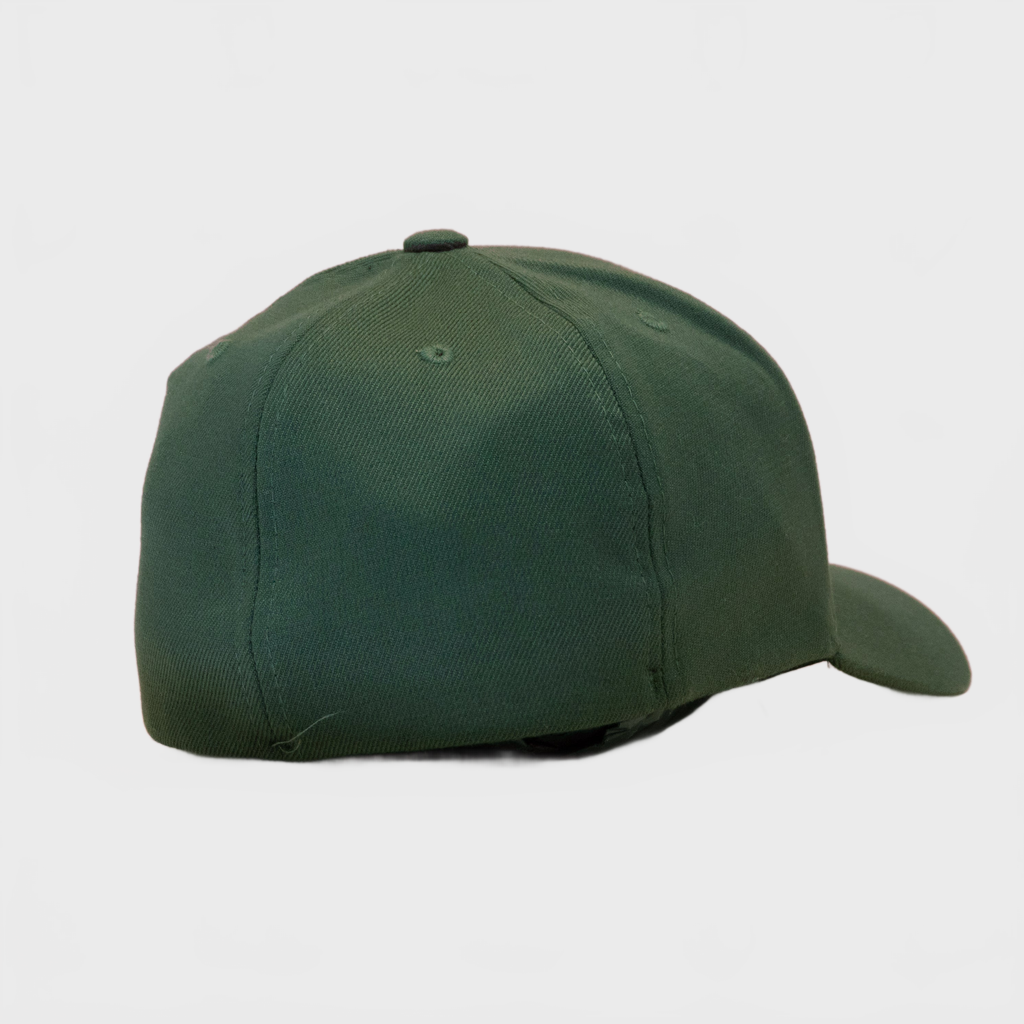 P&P Blank Hooked Flex Cap Olive