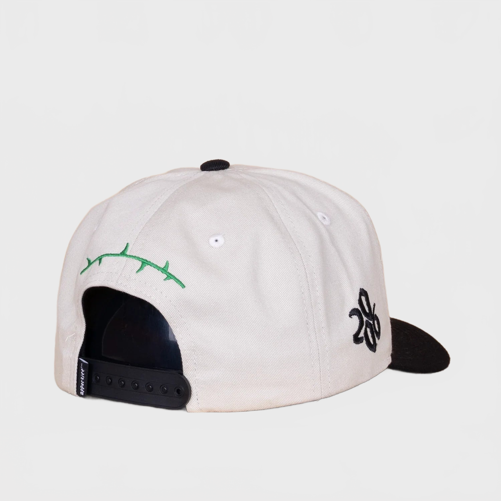 Appertiff Rose Two-Tone A-frame Cap Bone/Black
