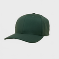 P&P Blank 120 Cap Olive