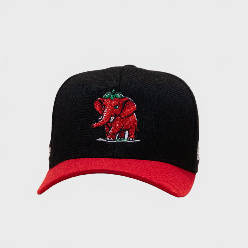 Brainrot Strawberry JR Cap Red Black