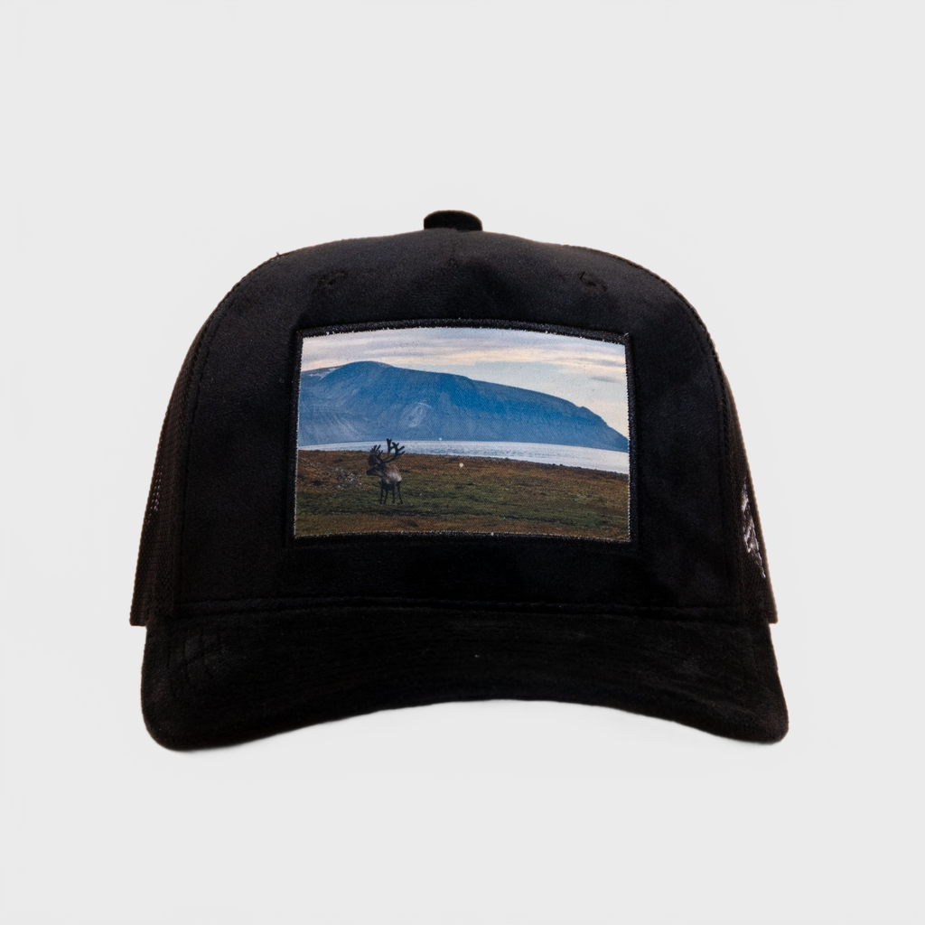Ca´put Patches Exclusive Reindeer Velvet Cap Black