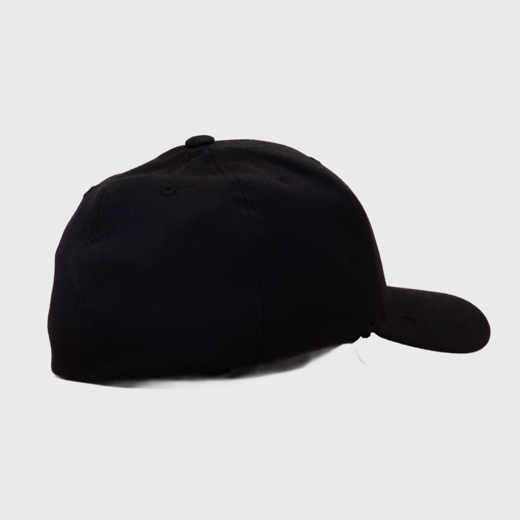 P&P Blank Hooked Flex Cap Black