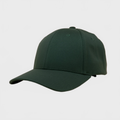 P&P Blank Hooked Cap Olive