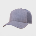 P&P Blank Hooked Trucker Cap Heather Grey