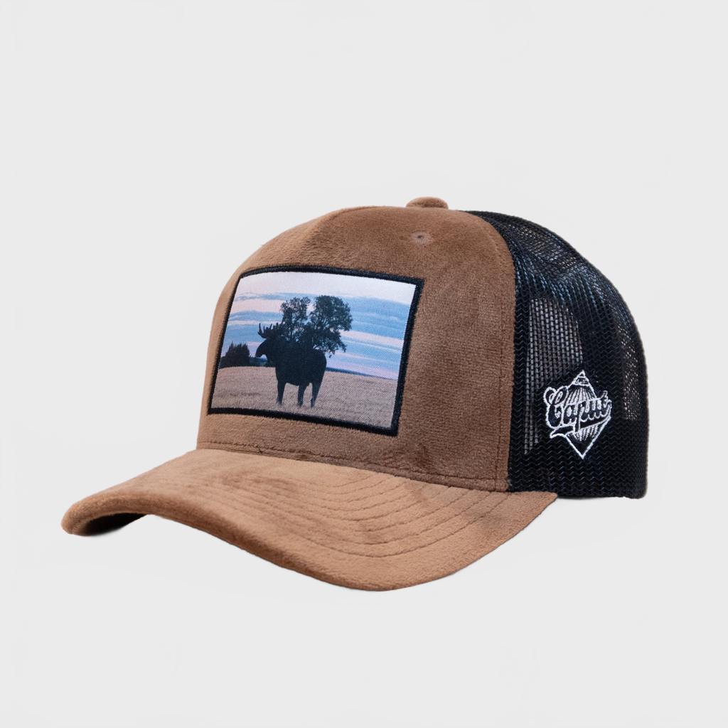 Ca´put Moose Velvet Cap Brown
